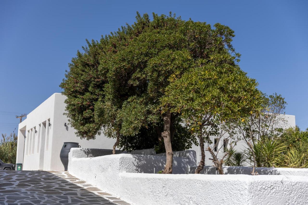 Naxos Green Village Hotel Naxos City Exteriér fotografie
